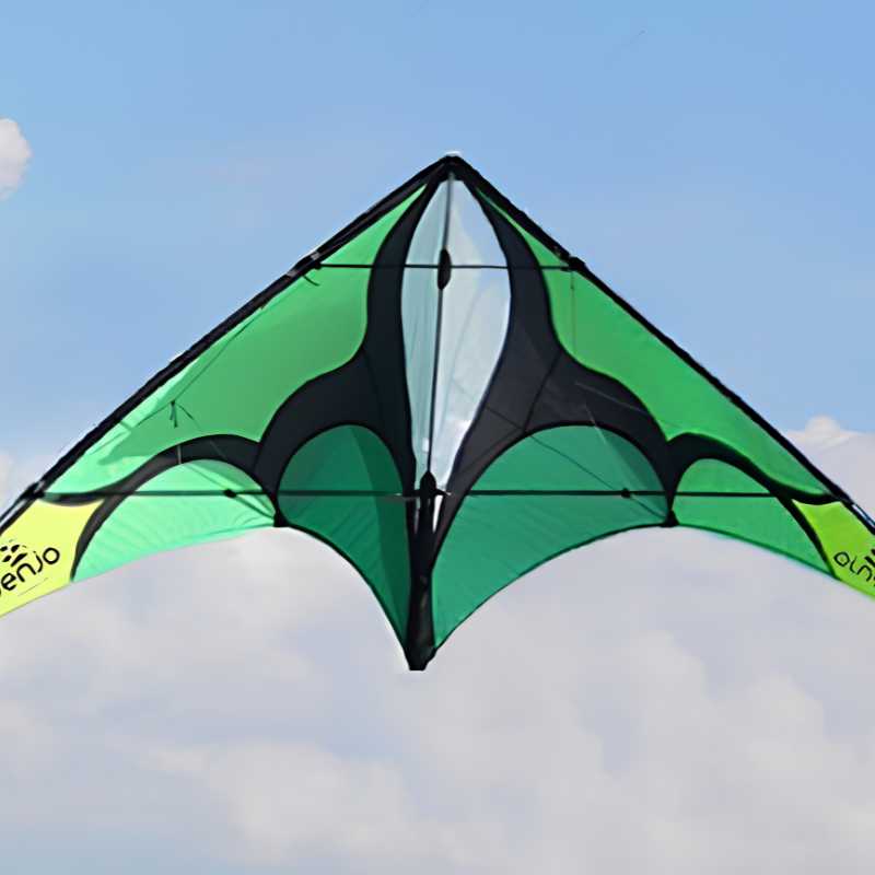 Stunt Kite Green 5
