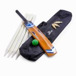 CRICKET SET four wicket posts, 3 bales, the cricket bat, and the green ball all next to the black carry bag