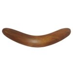 Boomerang Web 1